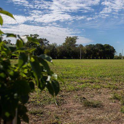 Terreno en venta ubicado en Monte Sauzalito de 700mt2