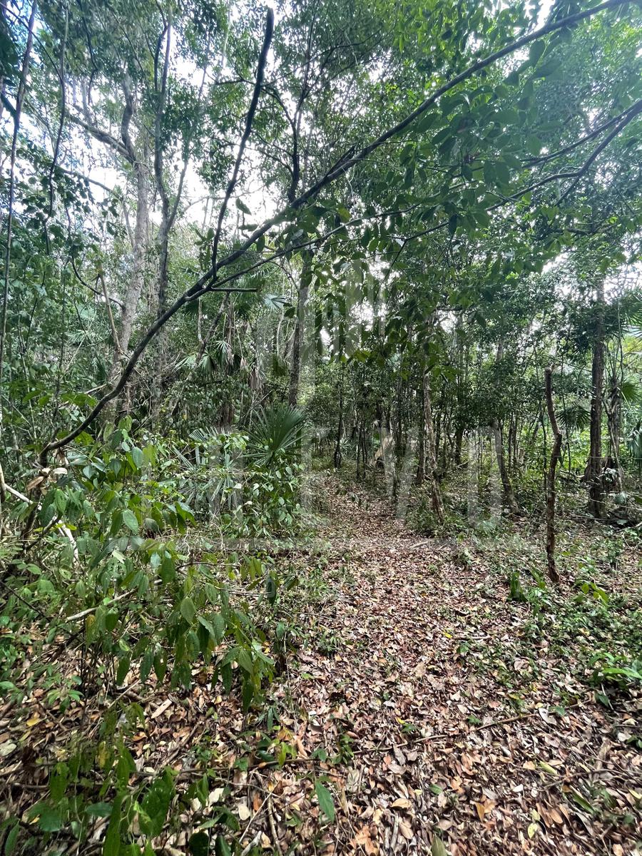 Terreno en VENTA LA RUTA DEL CENOTE