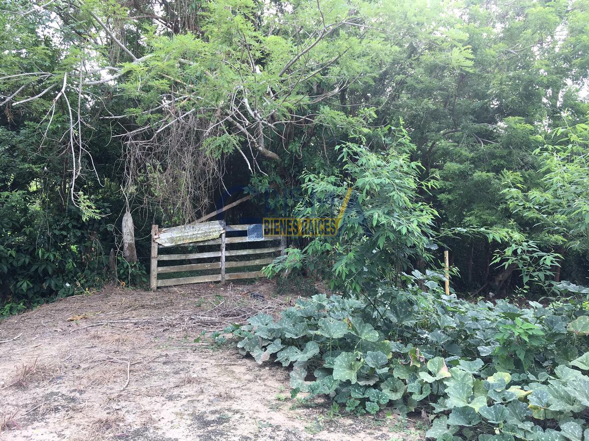 RANCHO EN VENTA EN TEMAPACHE SOBRE CARRETERA A TAMPICO