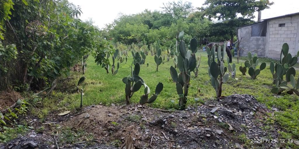 Terreno - Tlaquiltenango