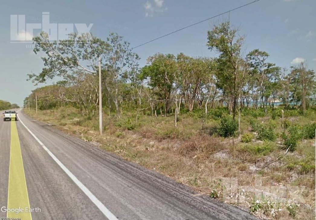 VENDO 5 LOTES DE TERRENO EN LA CARRETERA CHAMPOTON – SABANCUY