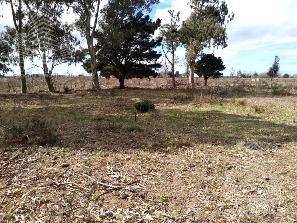 Terreno en Calle El Cangrejo -Paraje Pavon-