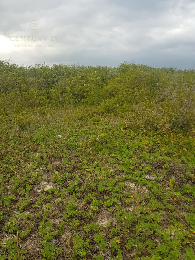 En Venta Excelente Terreno para inversión en Puerto Morelos  C3105