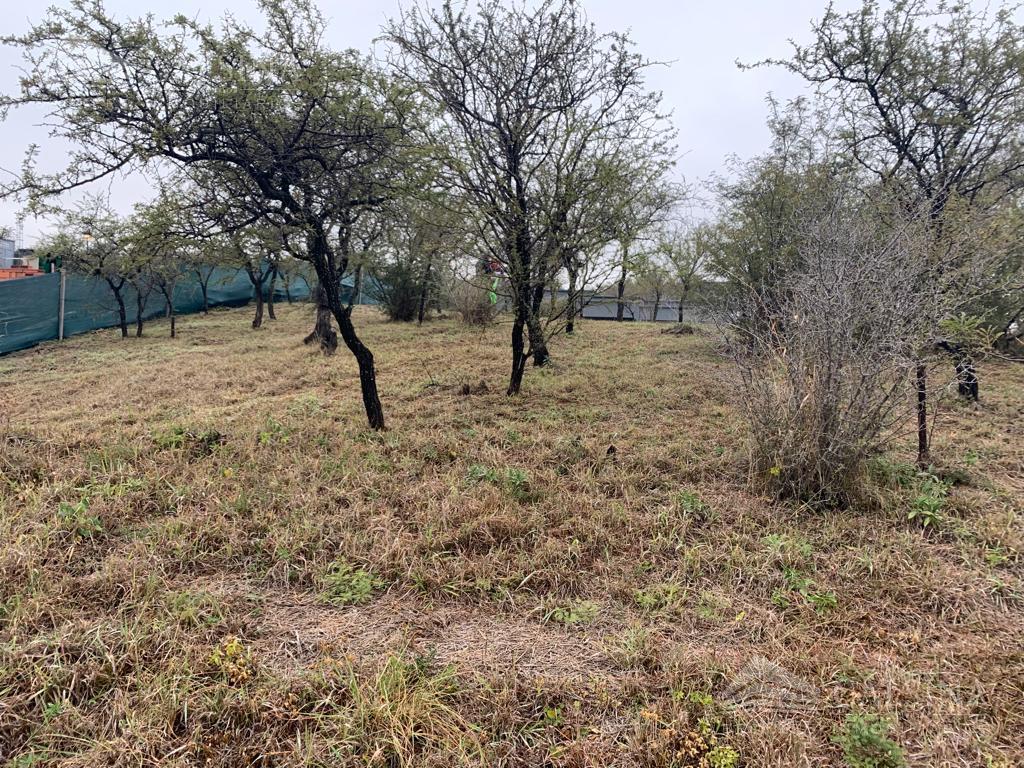 Terreno - Estancia El Terrón