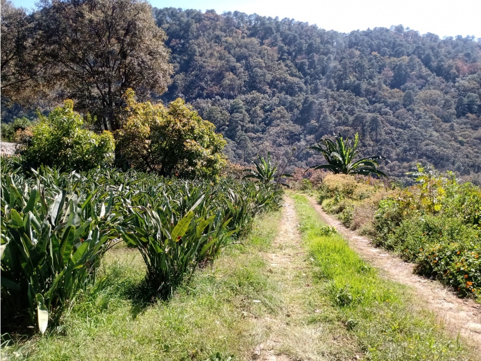 TERRENO PIPIOLTEPEC