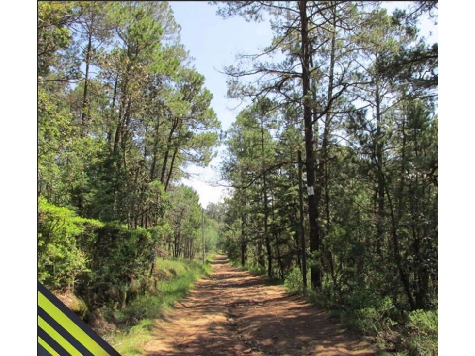 Venta de terreno en Huasca de Ocampo