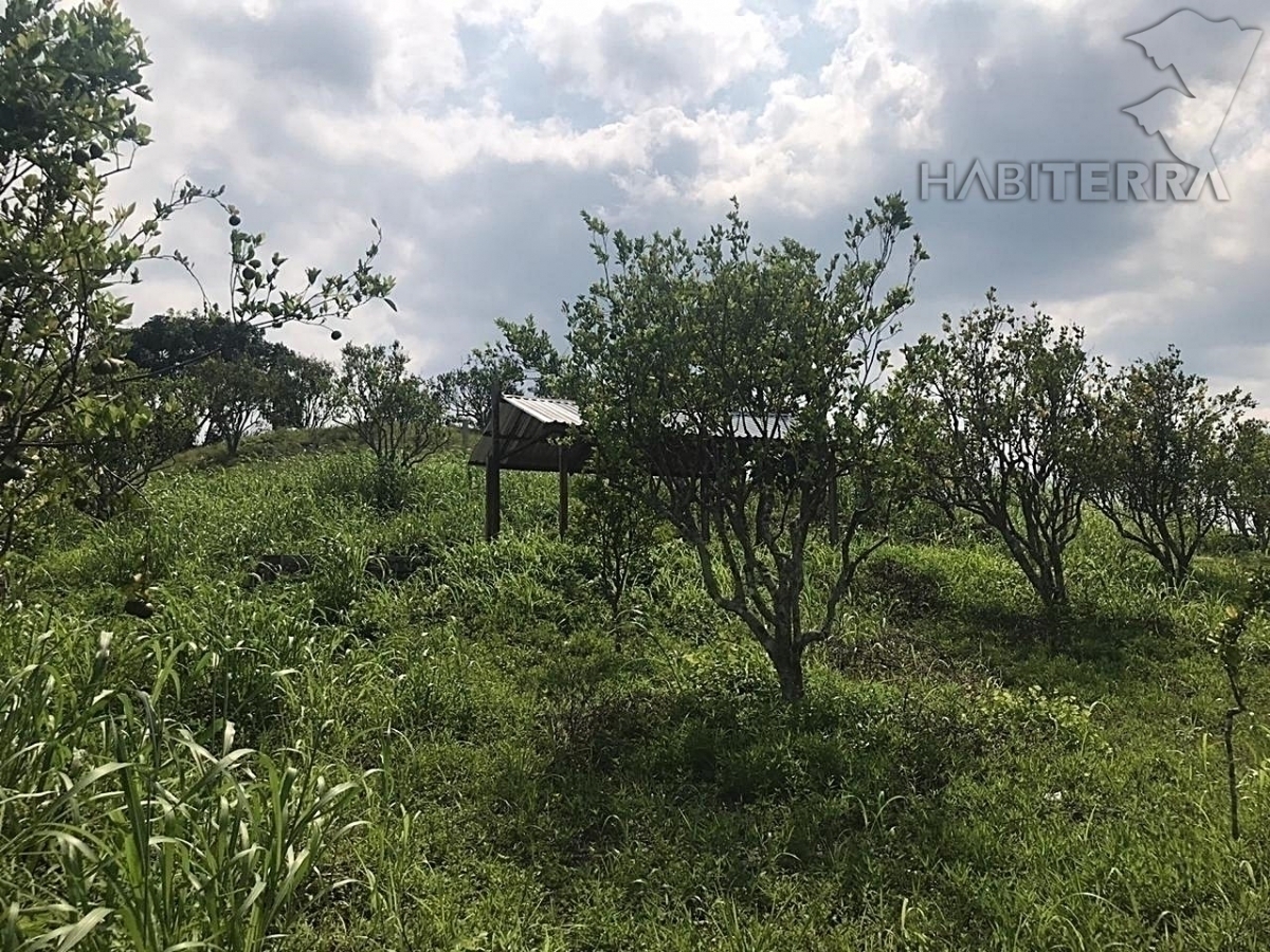 TERRENO EN VENTA EN MONTES DE ARMENIA, TUXPAN, VERACRUZ.