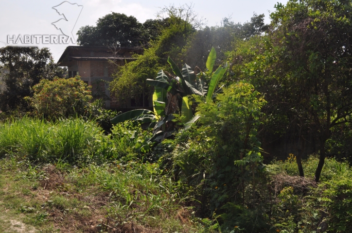 TERRENO EN VENTA EN LA COLONIA ANÁHUAC, TUXPAN VER.